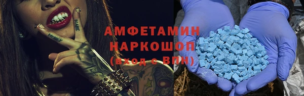гашик Козловка