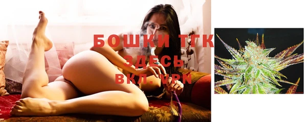 гашик Козловка