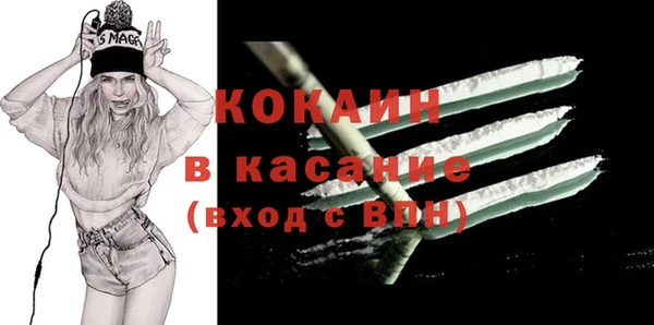 гашик Козловка