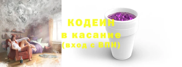 гашик Козловка