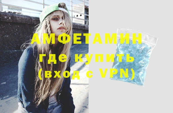 гашик Козловка