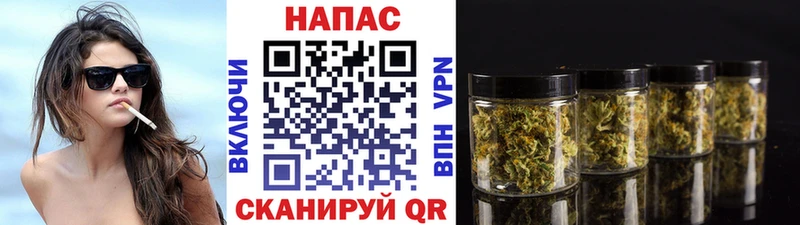 Бошки марихуана сатива  Купить где  Новохопёрск 